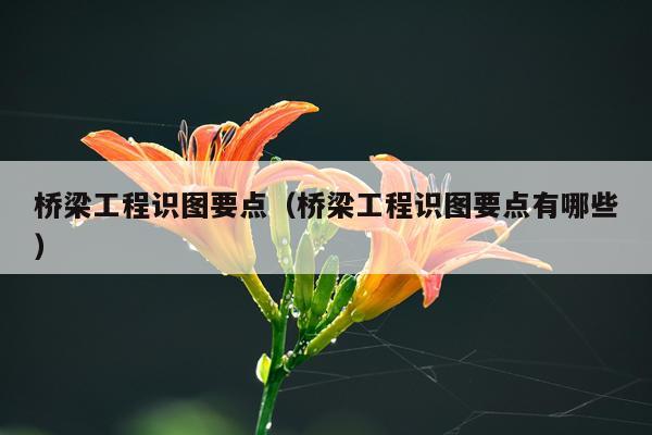 桥梁工程识图要点（桥梁工程识图要点有哪些）