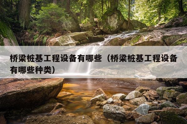 桥梁桩基工程设备有哪些（桥梁桩基工程设备有哪些种类）