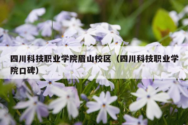 四川科技职业学院眉山校区（四川科技职业学院口碑）