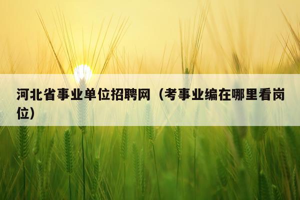 河北省事业单位招聘网（考事业编在哪里看岗位）