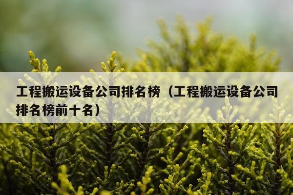 工程搬运设备公司排名榜（工程搬运设备公司排名榜前十名）