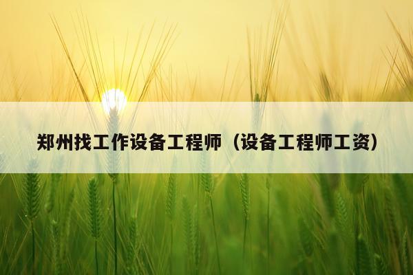 郑州找工作设备工程师（设备工程师工资）
