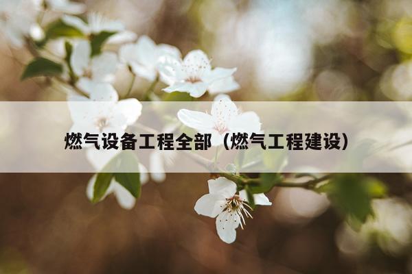 燃气设备工程全部（燃气工程建设）