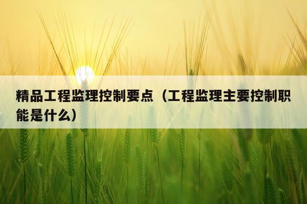 精品工程监理控制要点（工程监理主要控制职能是什么）