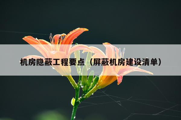 机房隐蔽工程要点（屏蔽机房建设清单）