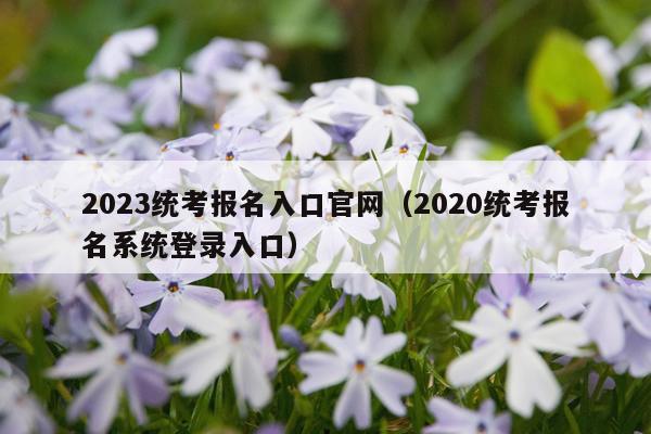 2023统考报名入口官网（2020统考报名系统登录入口）