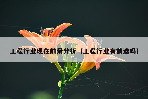 工程行业现在前景分析（工程行业有前途吗）