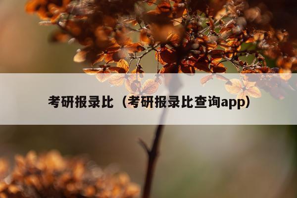 考研报录比（考研报录比查询app）