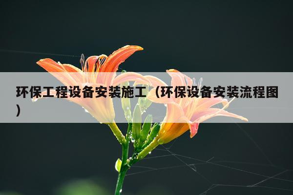 环保工程设备安装施工（环保设备安装流程图）