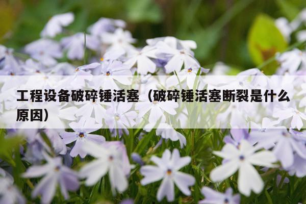 工程设备破碎锤活塞（破碎锤活塞断裂是什么原因）