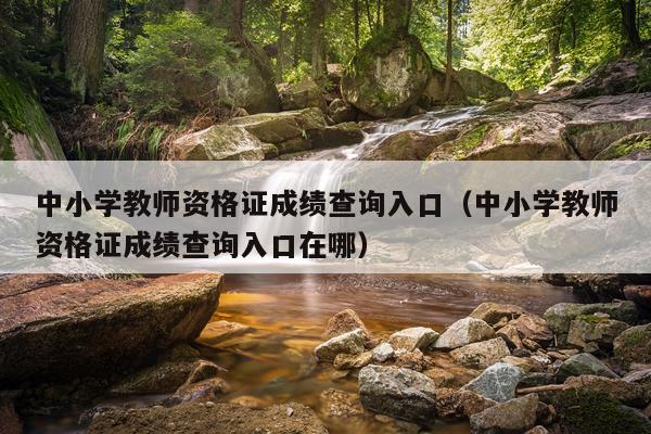 中小学教师资格证成绩查询入口（中小学教师资格证成绩查询入口在哪）