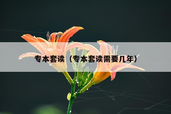 专本套读（专本套读需要几年）