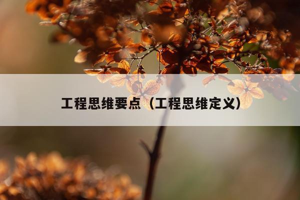 工程思维要点（工程思维定义）