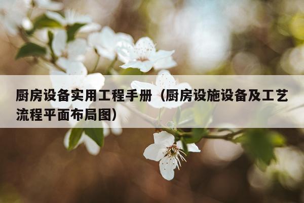 厨房设备实用工程手册（厨房设施设备及工艺流程平面布局图）