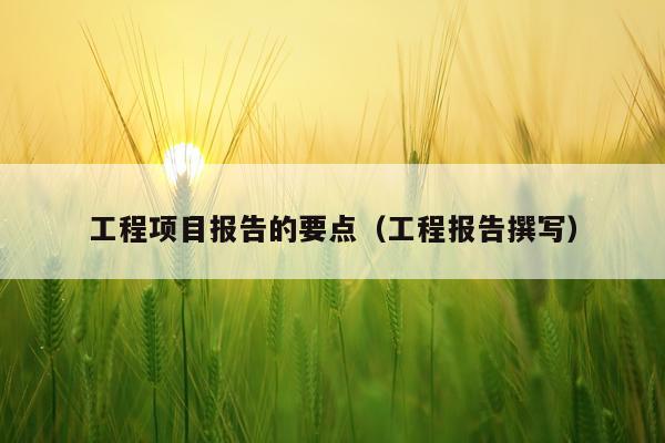 工程项目报告的要点（工程报告撰写）