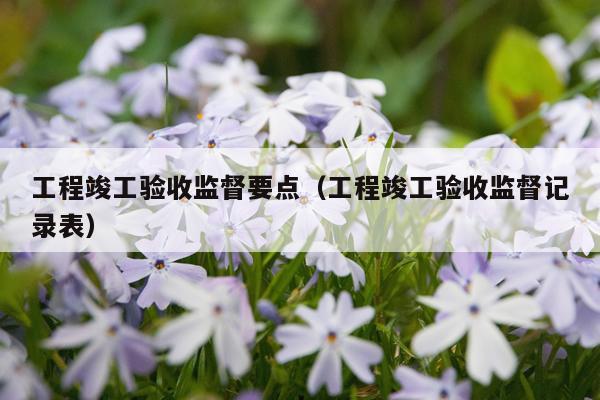 工程竣工验收监督要点（工程竣工验收监督记录表）