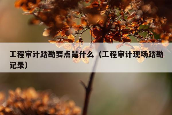 工程审计踏勘要点是什么（工程审计现场踏勘记录）