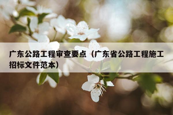 广东公路工程审查要点（广东省公路工程施工招标文件范本）