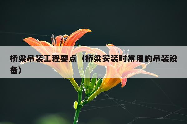 桥梁吊装工程要点（桥梁安装时常用的吊装设备）