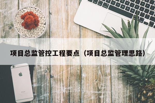项目总监管控工程要点（项目总监管理思路）
