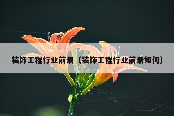 装饰工程行业前景（装饰工程行业前景如何）