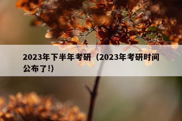 2023年下半年考研(2023年考研时间公布了!)