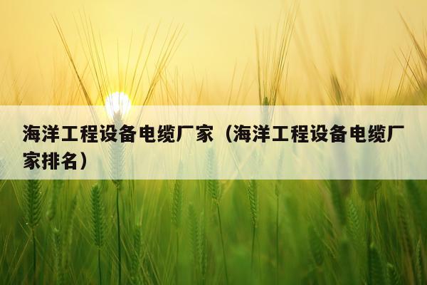 海洋工程设备电缆厂家（海洋工程设备电缆厂家排名）