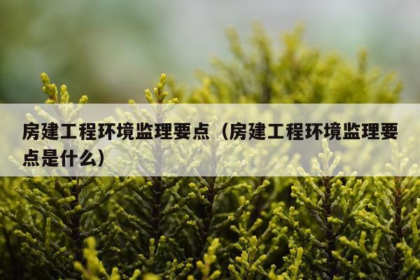 房建工程环境监理要点（房建工程环境监理要点是什么）