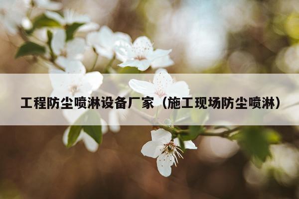 工程防尘喷淋设备厂家（施工现场防尘喷淋）