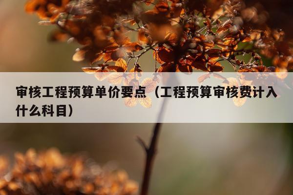 审核工程预算单价要点（工程预算审核费计入什么科目）