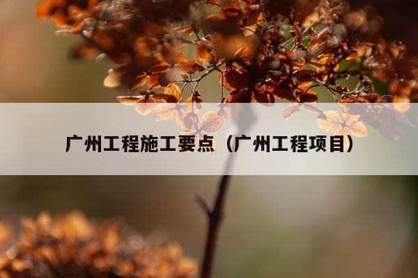广州工程施工要点（广州工程项目）