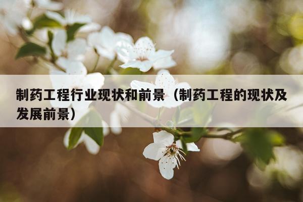 制药工程行业现状和前景（制药工程的现状及发展前景）
