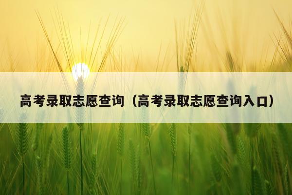 高考录取志愿查询（高考录取志愿查询入口）
