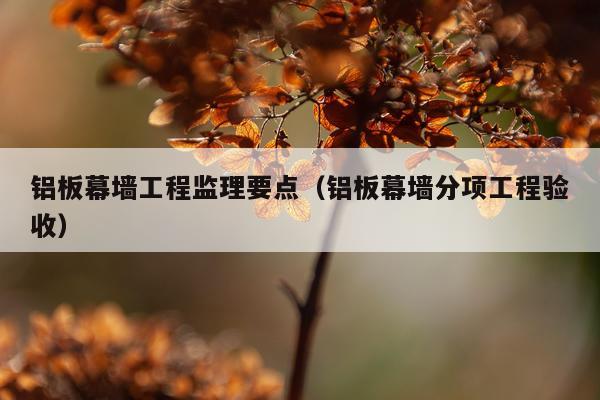 铝板幕墙工程监理要点（铝板幕墙分项工程验收）