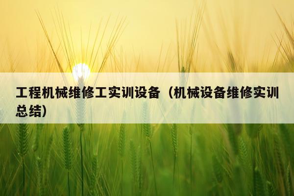 工程机械维修工实训设备（机械设备维修实训总结）
