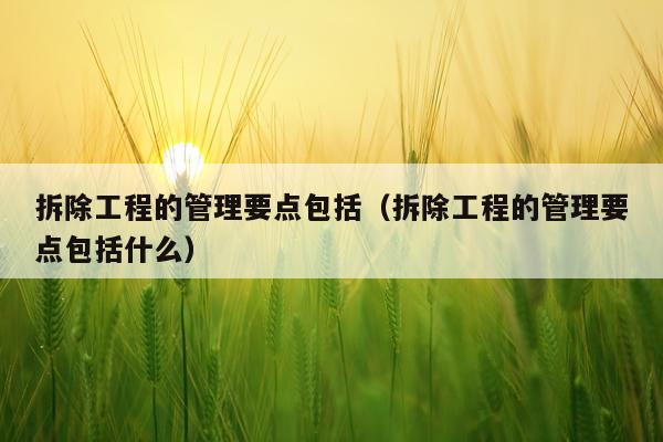 拆除工程的管理要点包括（拆除工程的管理要点包括什么）