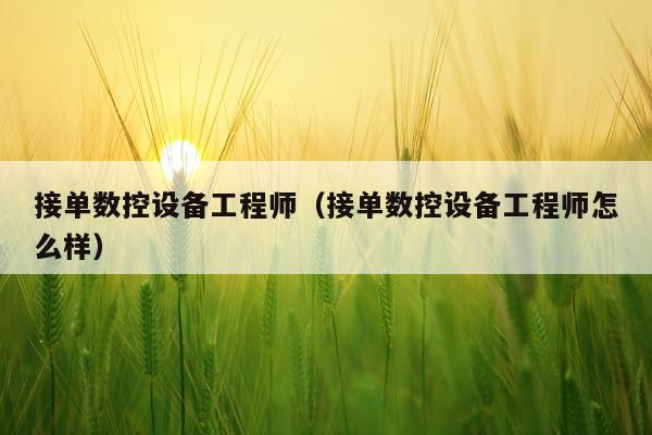 接单数控设备工程师（接单数控设备工程师怎么样）