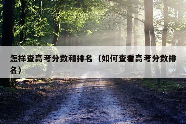 怎样查高考分数和排名（如何查看高考分数排名）