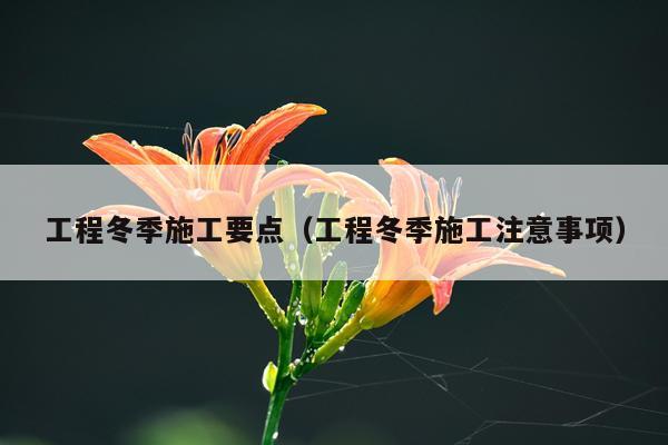 工程冬季施工要点（工程冬季施工注意事项）