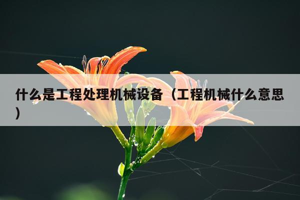 什么是工程处理机械设备（工程机械什么意思）
