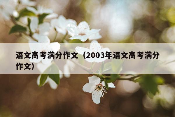 语文高考满分作文（2003年语文高考满分作文）