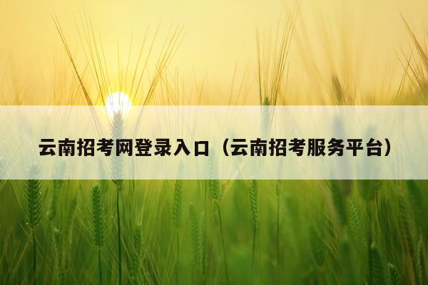 云南招考网登录入口（云南招考服务平台）