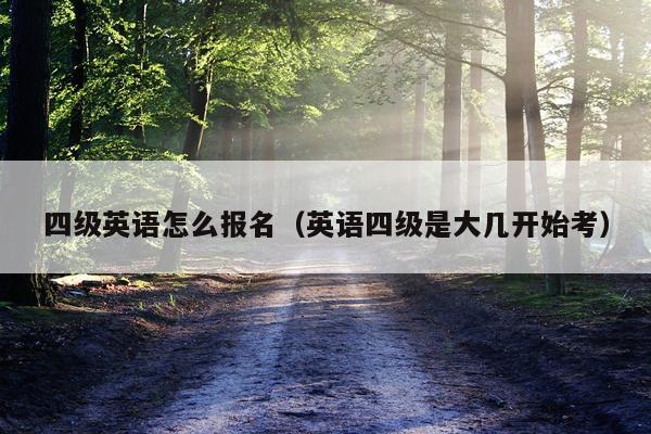 四级英语怎么报名（英语四级是大几开始考）