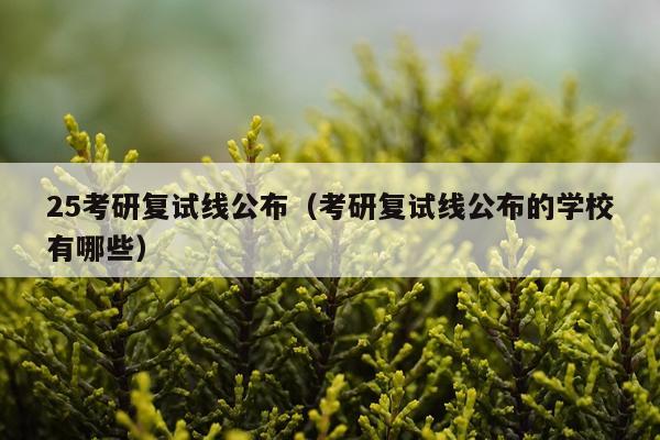 25考研复试线公布（考研复试线公布的学校有哪些）