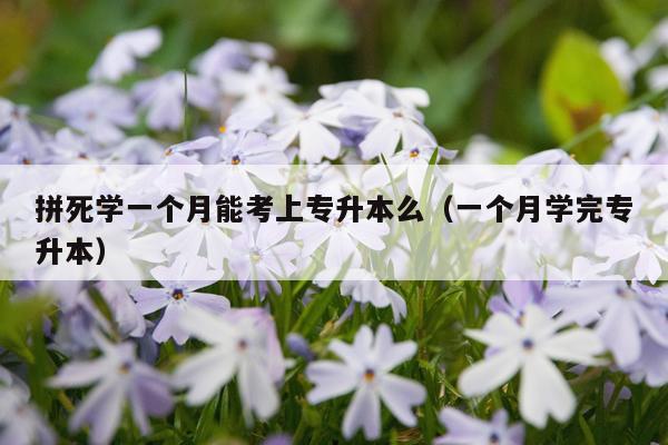 拼死学一个月能考上专升本么（一个月学完专升本）