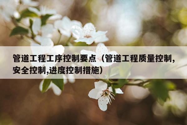管道工程工序控制要点（管道工程质量控制,安全控制,进度控制措施）