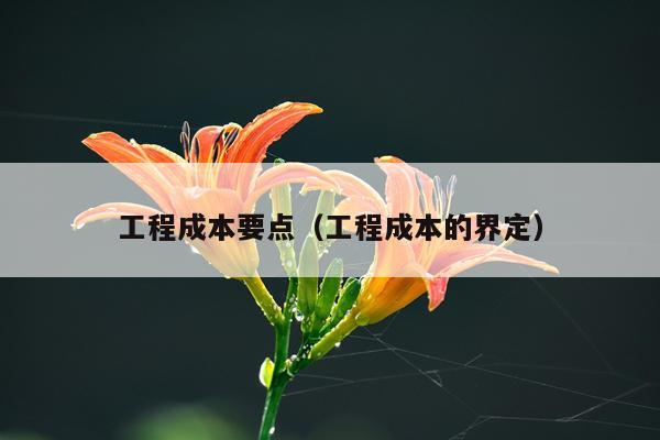 工程成本要点(工程成本的界定)