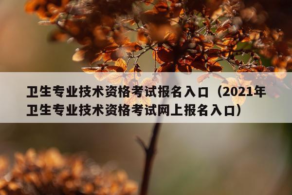 卫生专业技术资格考试报名入口（2021年卫生专业技术资格考试网上报名入口）