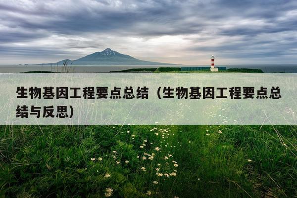 生物基因工程要点总结（生物基因工程要点总结与反思）