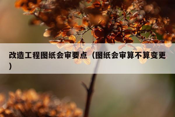 改造工程图纸会审要点（图纸会审算不算变更）